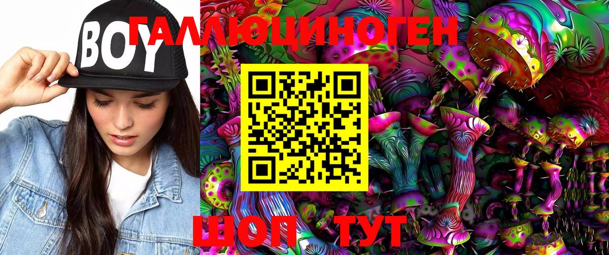 Галлюциногенные грибы GOLDEN TEACHER  Вход с VPN  Ржев  Псилоцибиновые грибы MAGIC MUSHROOMS 