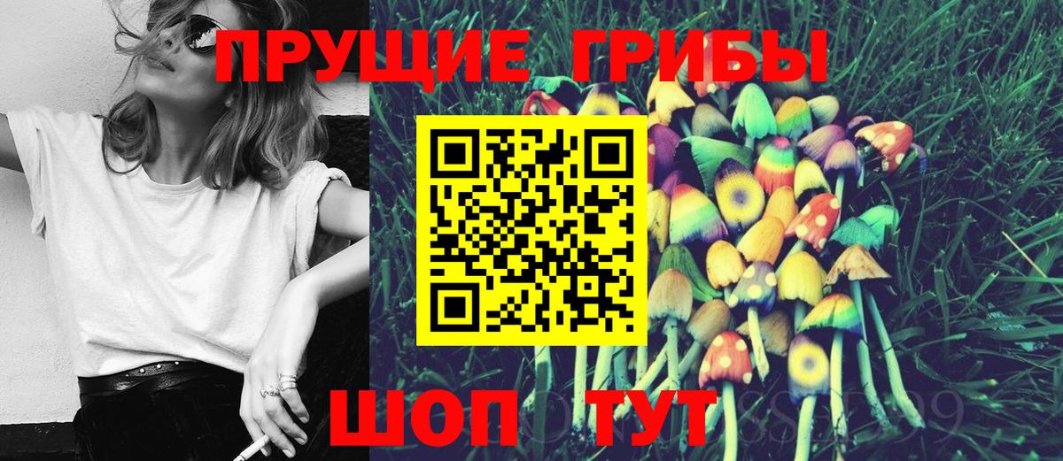 Псилоцибиновые грибы Magic Shrooms Ржев